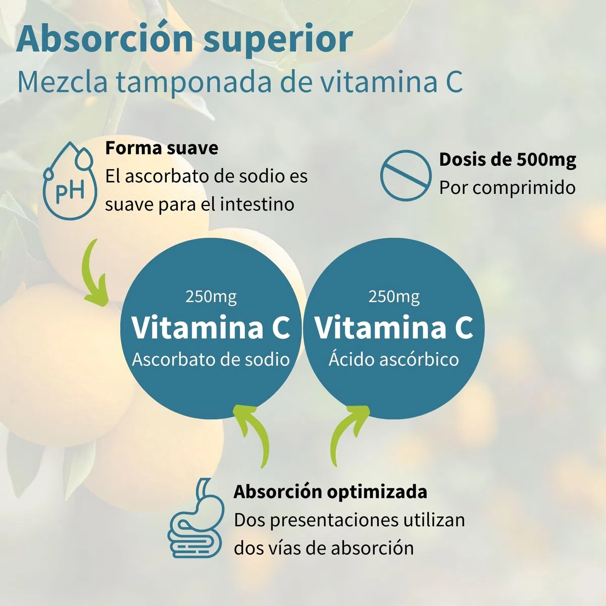 Igennus Vitamina C Avanzada Masticable Sin Azúcar 500mg, 120 Dosis, Niños y Adultos, Pura y Suave, Fórmula Tamponada de Alta Absorción, Vegana, Sabor a Naranja y Limón
