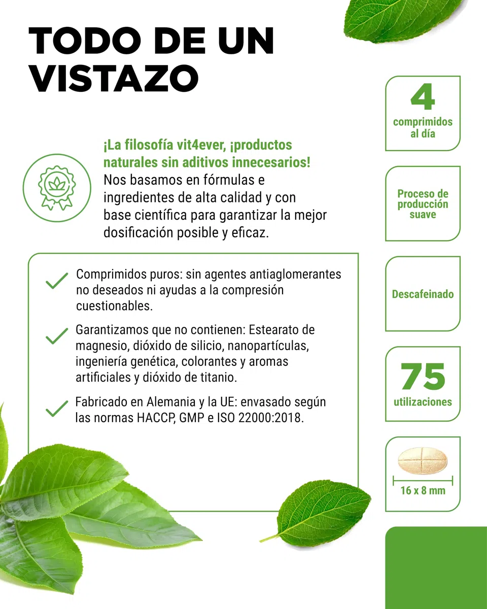 Extracto de Té Verde 300 Comprimidos dosis alta - 2000mg Extracto, 300mg EGCG & 1100mg Polifenoles por dosis diaria - Vegano