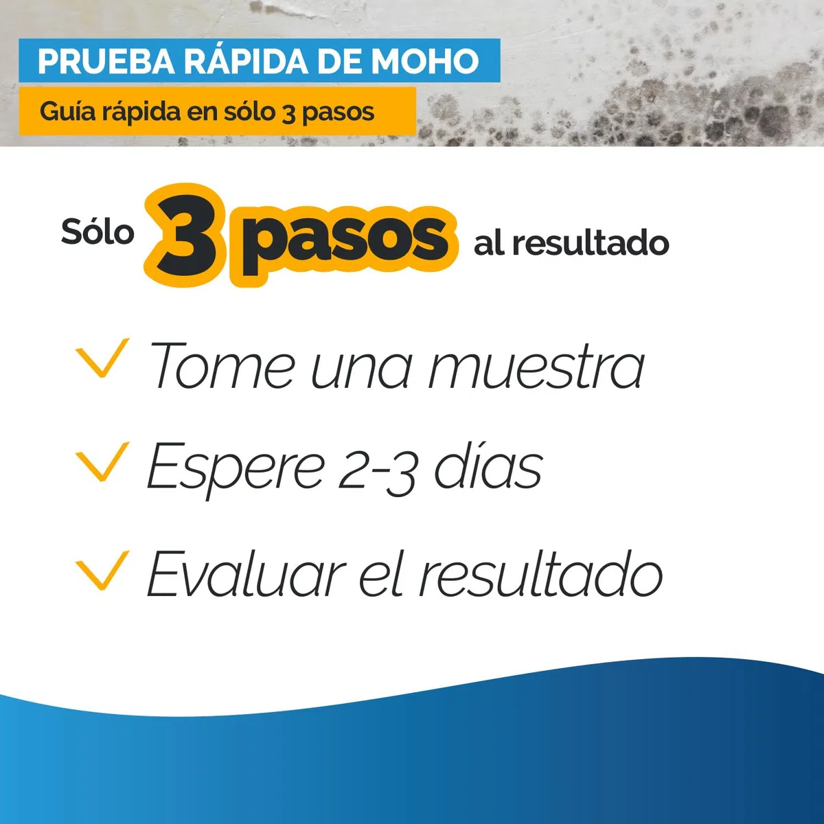 Prueba de moho segura para bebés – Test rápido de hongos en interiores para habitaciones infantiles y aire limpio