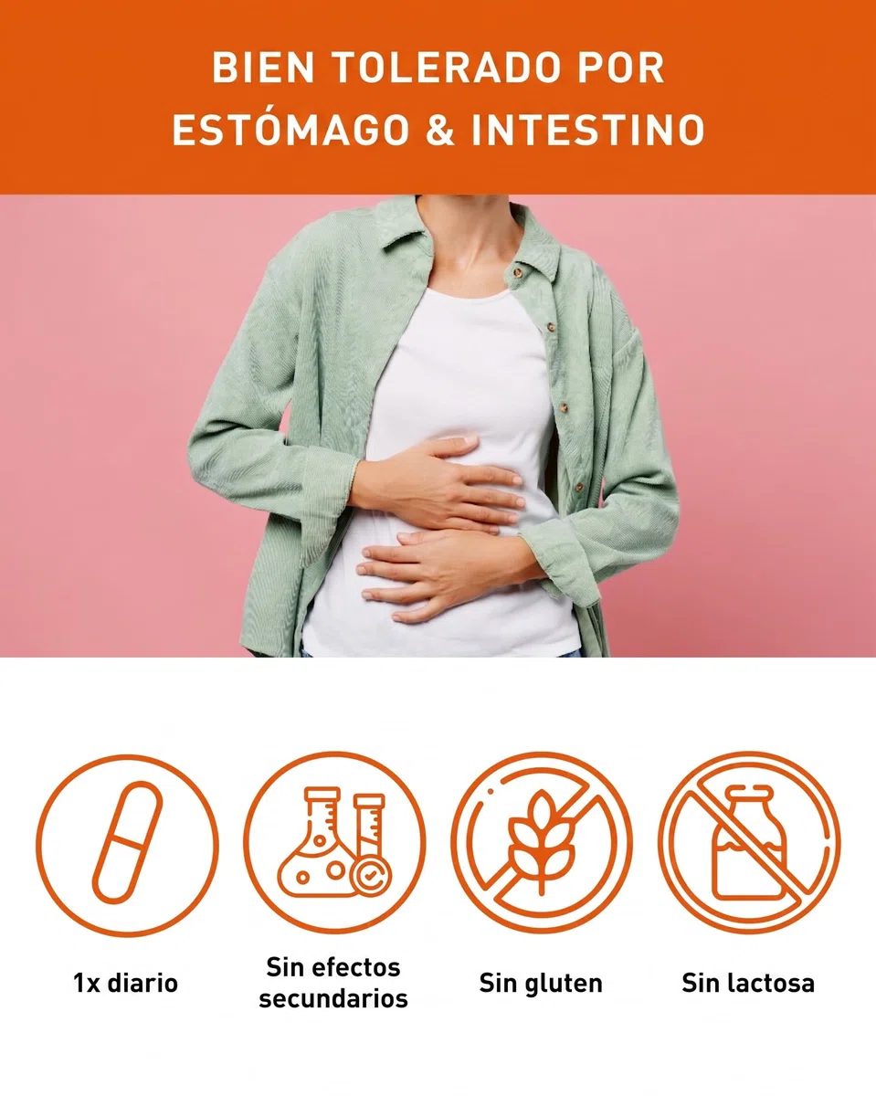 N1 Hierro 30 mg + vitamina C y ácido fólico - 30 tabletas de hierro - 98% de suplemento de hierro biodisponible - alta dosis para el sistema inmunológico, metabolismo energético y en caso de