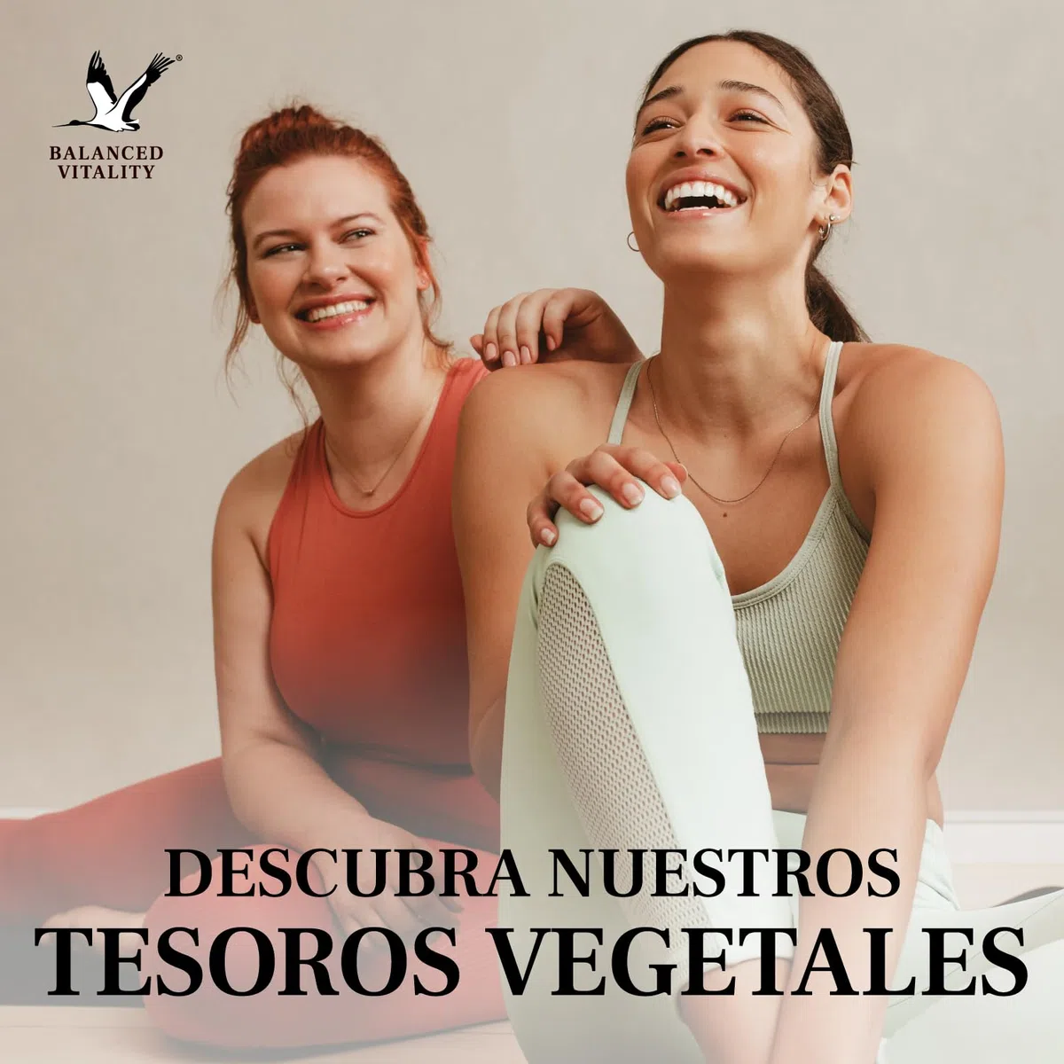 Balanced Vitality cardo mariano, Artichoke, Dandelion Complex-120 cápsulas veganas para 4 meses - con 80% de silimarina - sin aditivos - testado en laboratorio - Made in Germany
