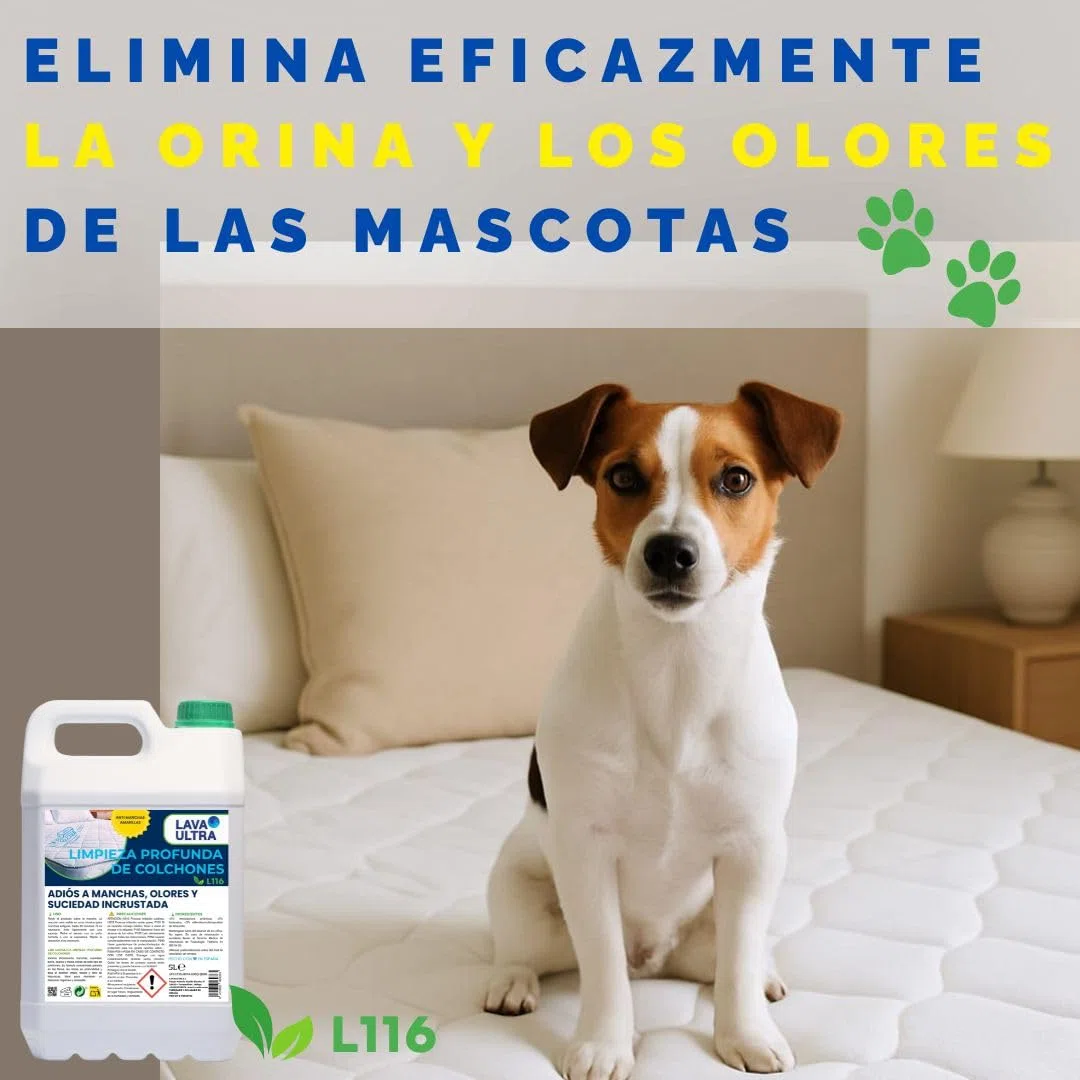 Limpiador para colchones LavaUltra L116 — potente limpiador para limpieza profunda 5 L + spray 750 mL | Elimina manchas amarillas, suciedad, restos de orina y olores de mascotas