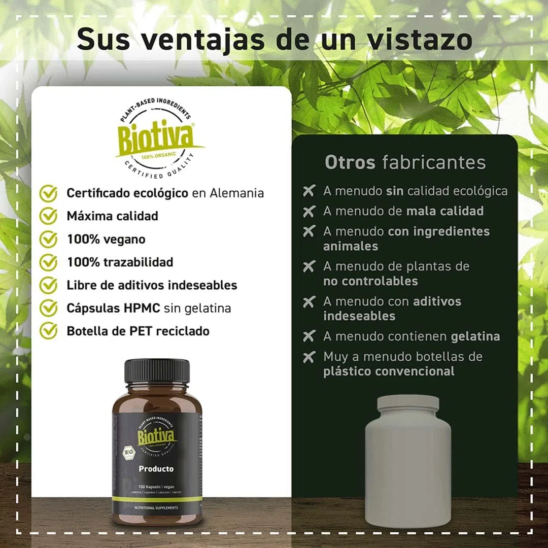 Biotiva Cápsulas de Ashwagandha Orgánica 150 piezas - 500 mg por Cápsula - Withania somnifera - Ayurveda de la India - sin aditivos