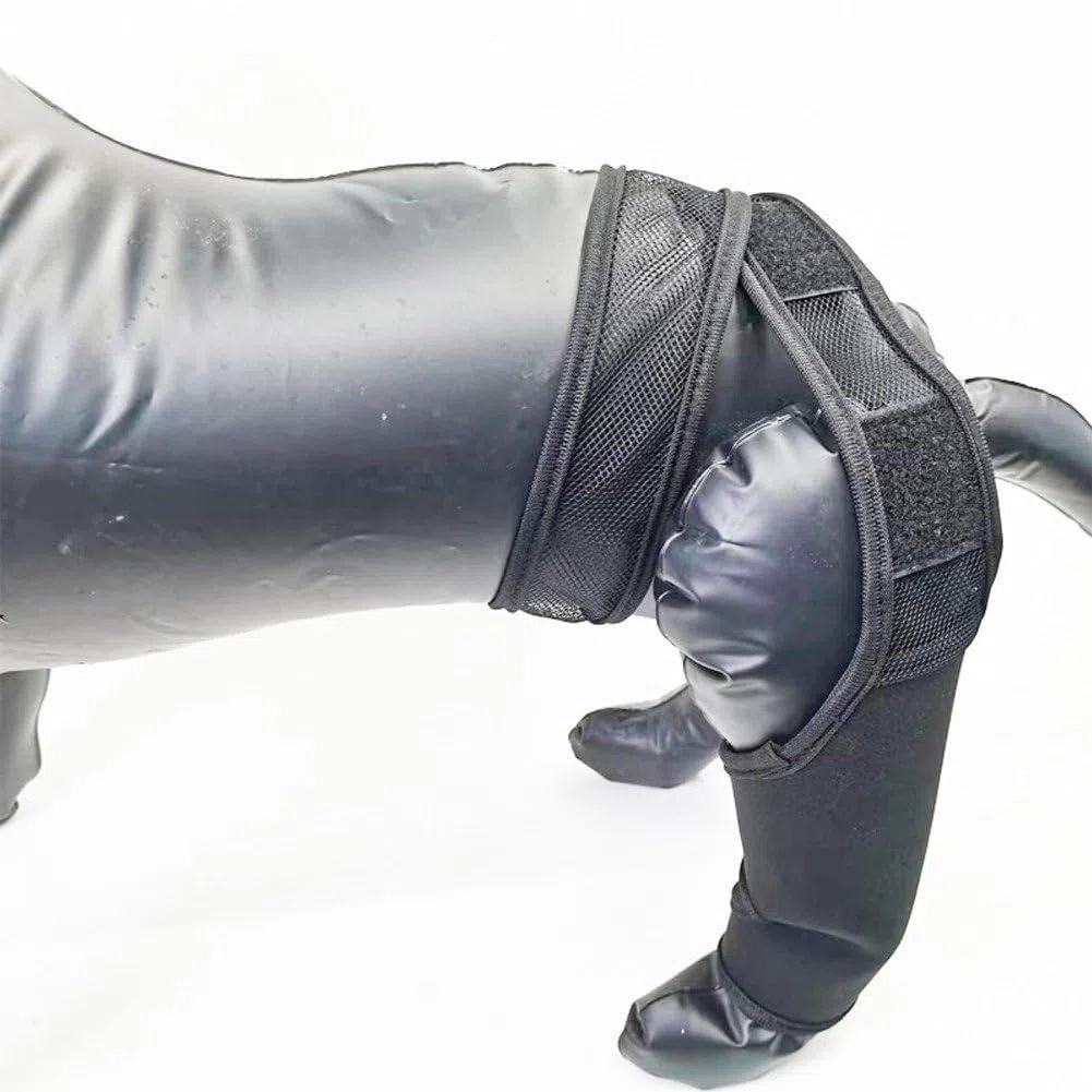 Rodillera Para Perros, Vendaje Para Rodilla, Ayuda Para Recuperación De Mascotas En Caso De Rotura Del Ligamento Cruzado Anterior (lca), Luxación Rotuliana, Displasia De Piernas Y Osteoartritis.