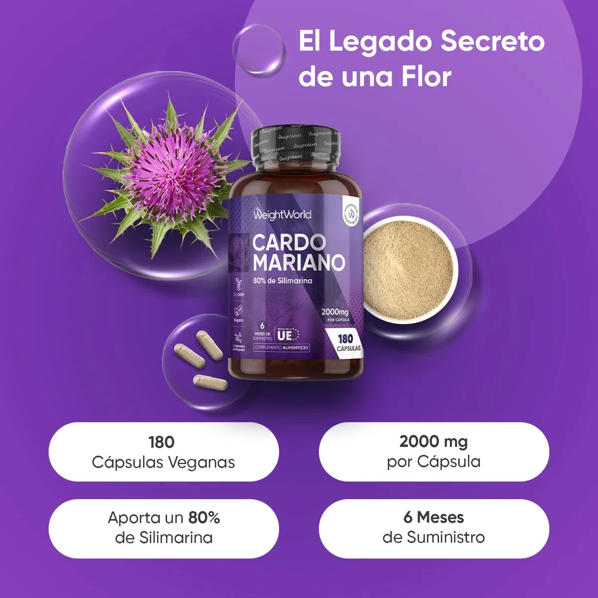 Cardo Mariano 2000mg - 180 Cápsulas, 80% de Silimarina del Extracto Natural de Cardo Mariano 40:1 - Suplemento de Milk Thistle para 6 Meses de Suministro - Apto para Veganos, Sin OGM