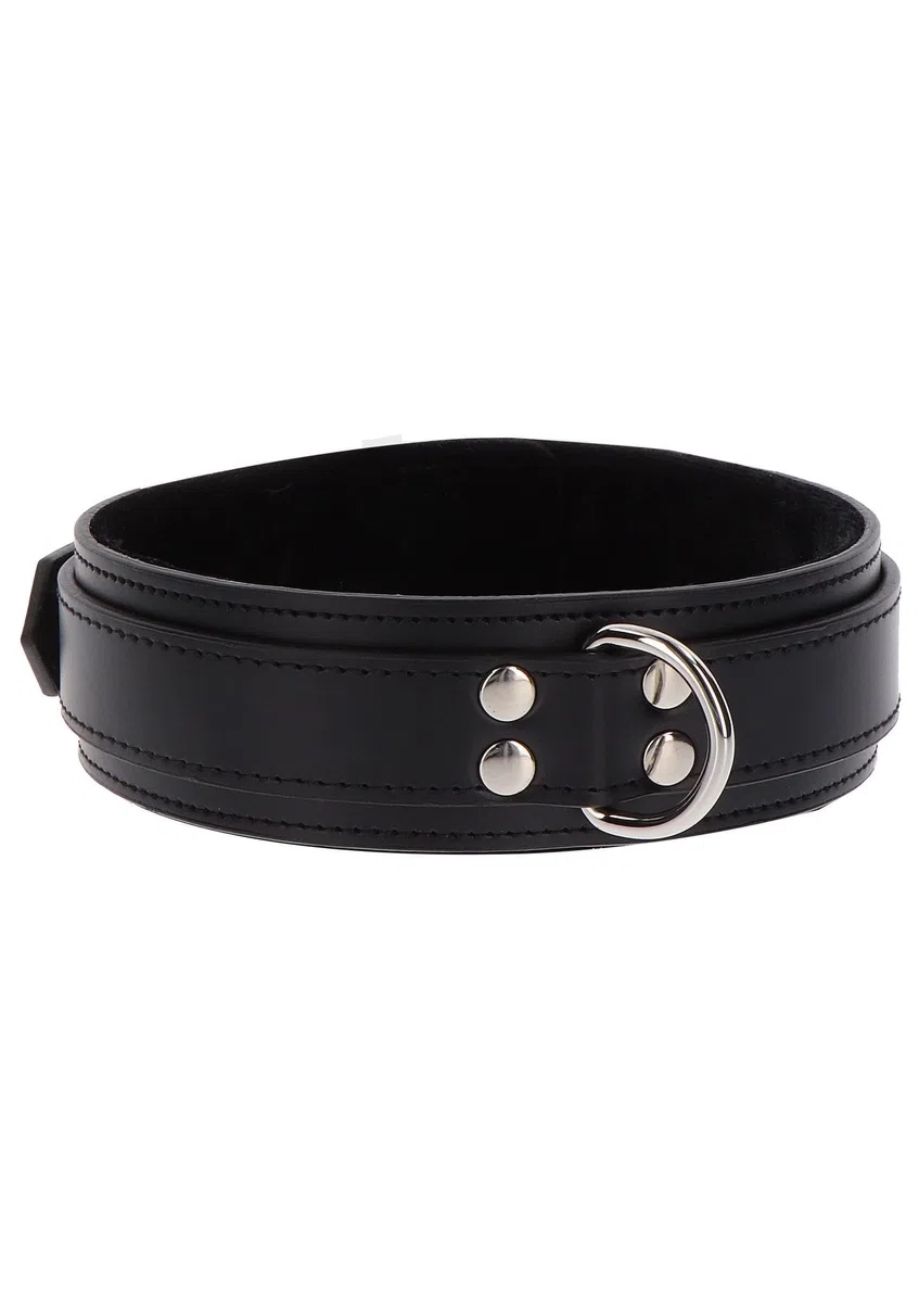 Taboom Collar Sex-17103 Collares Sexuales Negro Talla Única