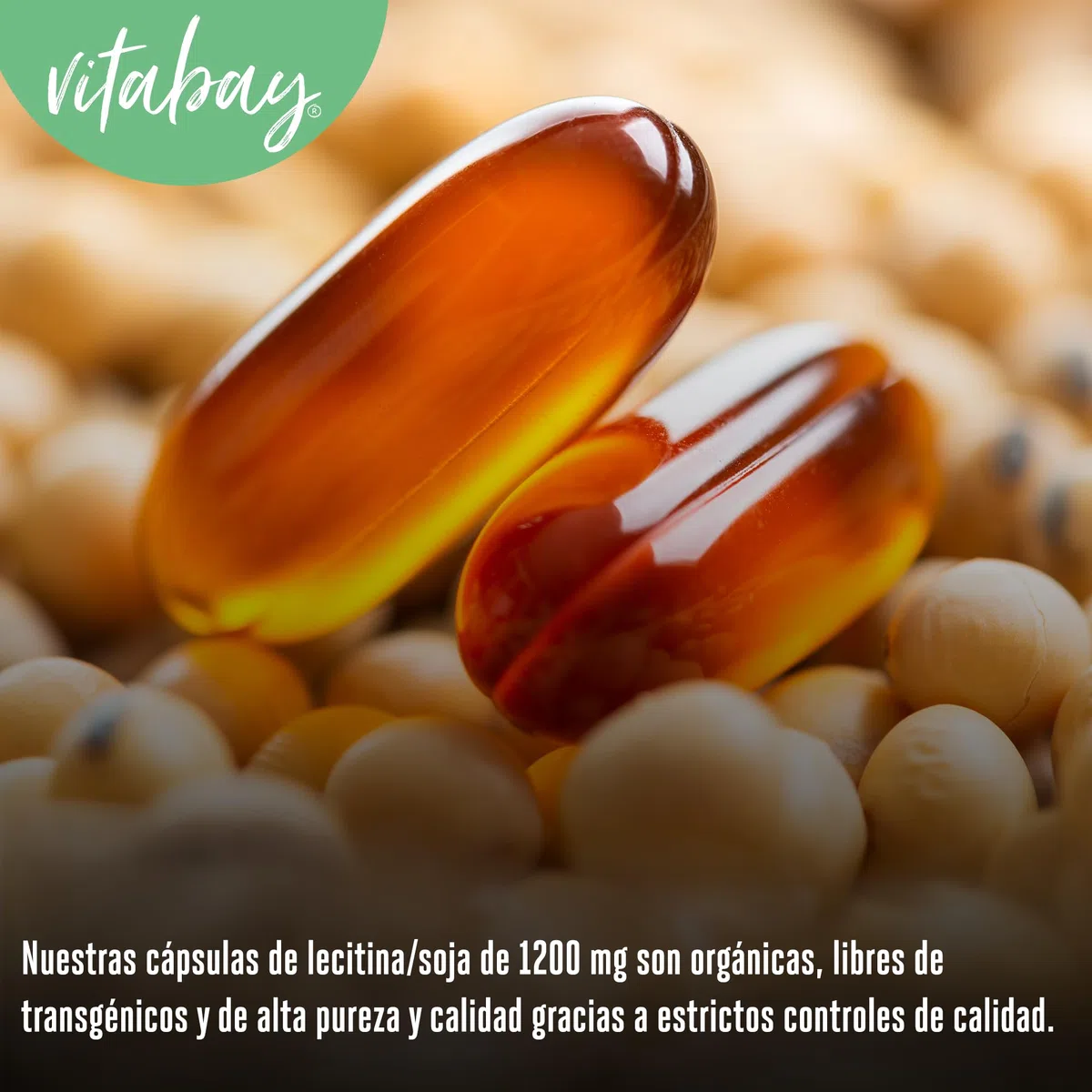 Vitabay Lecitina 1200 mg - 120 cápsulas blandas veganas - fosfatidilcolina de soja con vitamina E - sin gluten ni lactosa - sin OGM - analizado en laboratorio en Alemania - 4 meses