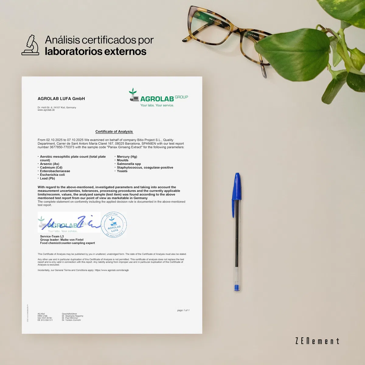 Extracto de Panax Ginseng - 50 mg Ginsenósidos por Cápsula, 2375 mg Equivalentes a Planta Entera - Vegano, Sin Aditivos, Sin OGM - 120 Cápsulas - Zenement