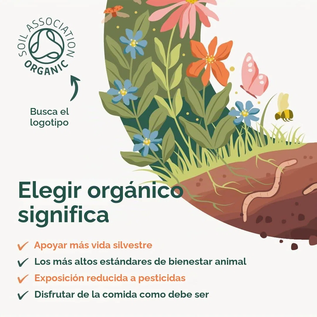 Aceite de orégano silvestre orgánico C80 5 ml | para uso tópico e interno | 83% + Carvacrol y niveles bajos de timol - Paquete de prueba | SC Nutra