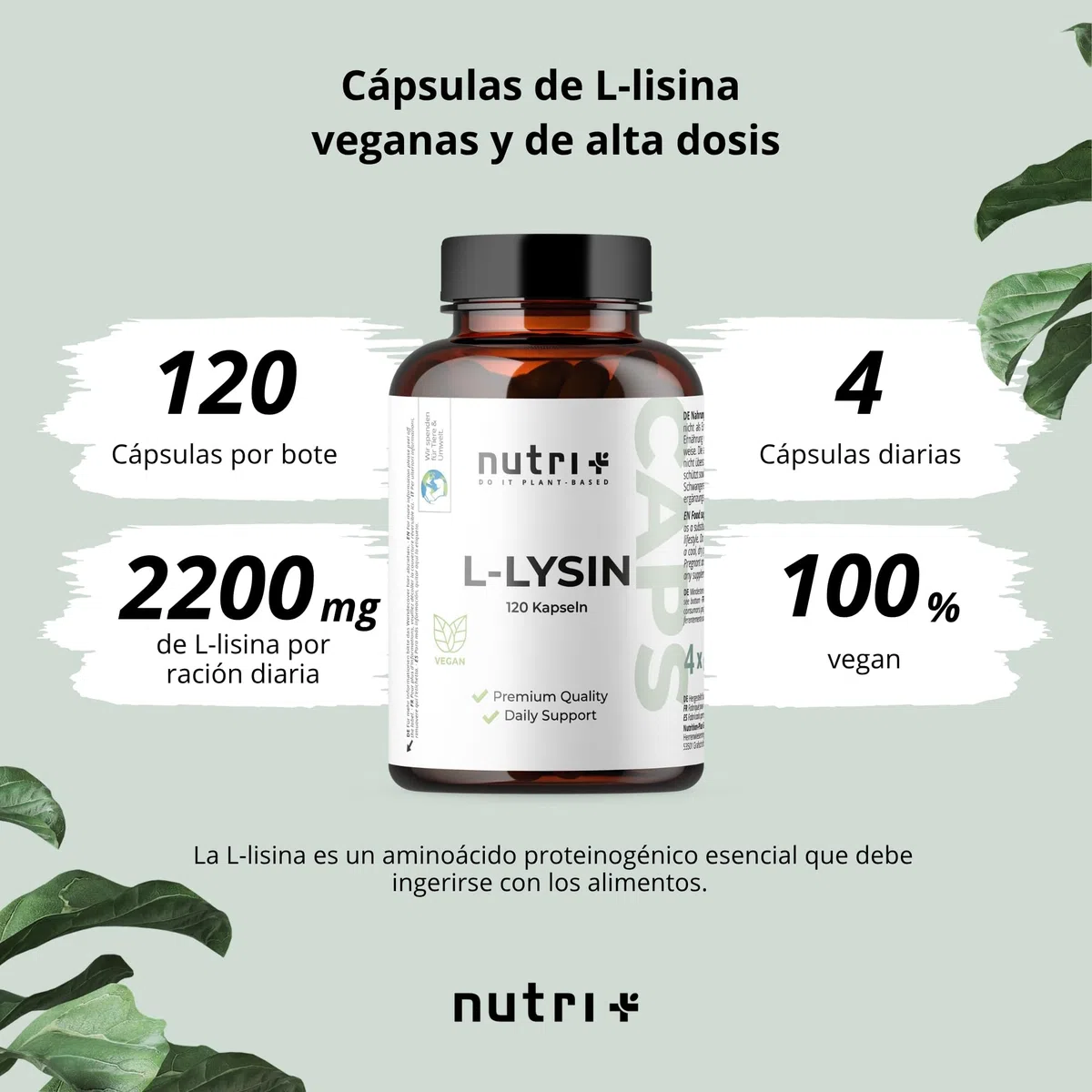 nutri + L-Lisina Cápsulas altas dosis + vegano - 2200mg por porción diaria - testado en laboratorio - 120 Caps 550mg cada una - bloque constructor de colágeno y tejido conectivo