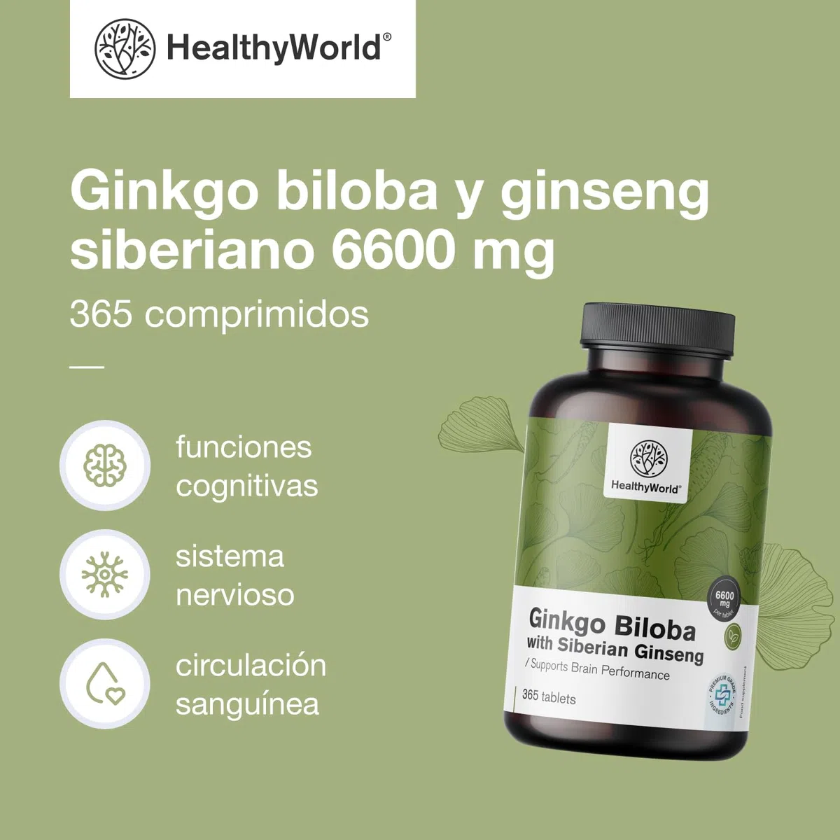 HealthyWorld Ginkgo Biloba con ginseng siberiano 6600 mg - Apoyo a la función cognitiva - 365 comprimidos para un suministro de 1 año - Extracto de Ginkgo 50:1 (120 mg) y 10:1 (60 mg)