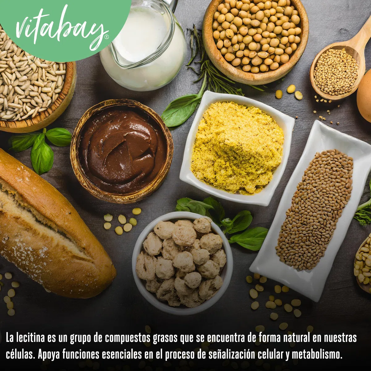 Vitabay Lecitina 1200 mg - 120 cápsulas blandas veganas - fosfatidilcolina de soja con vitamina E - sin gluten ni lactosa - sin OGM - analizado en laboratorio en Alemania - 4 meses