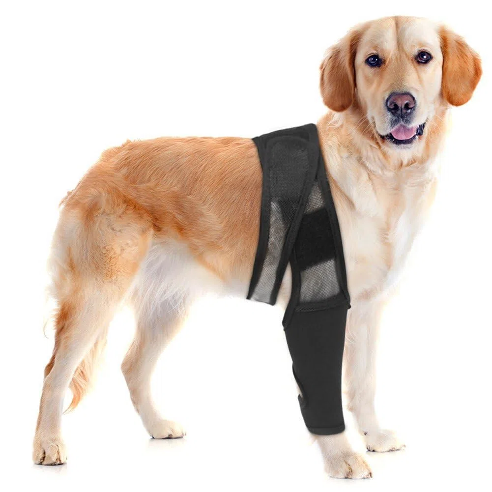 Rodillera Para Perros, Vendaje Para Rodilla, Ayuda Para Recuperación De Mascotas En Caso De Rotura Del Ligamento Cruzado Anterior (lca), Luxación Rotuliana, Displasia De Piernas Y Osteoartritis.