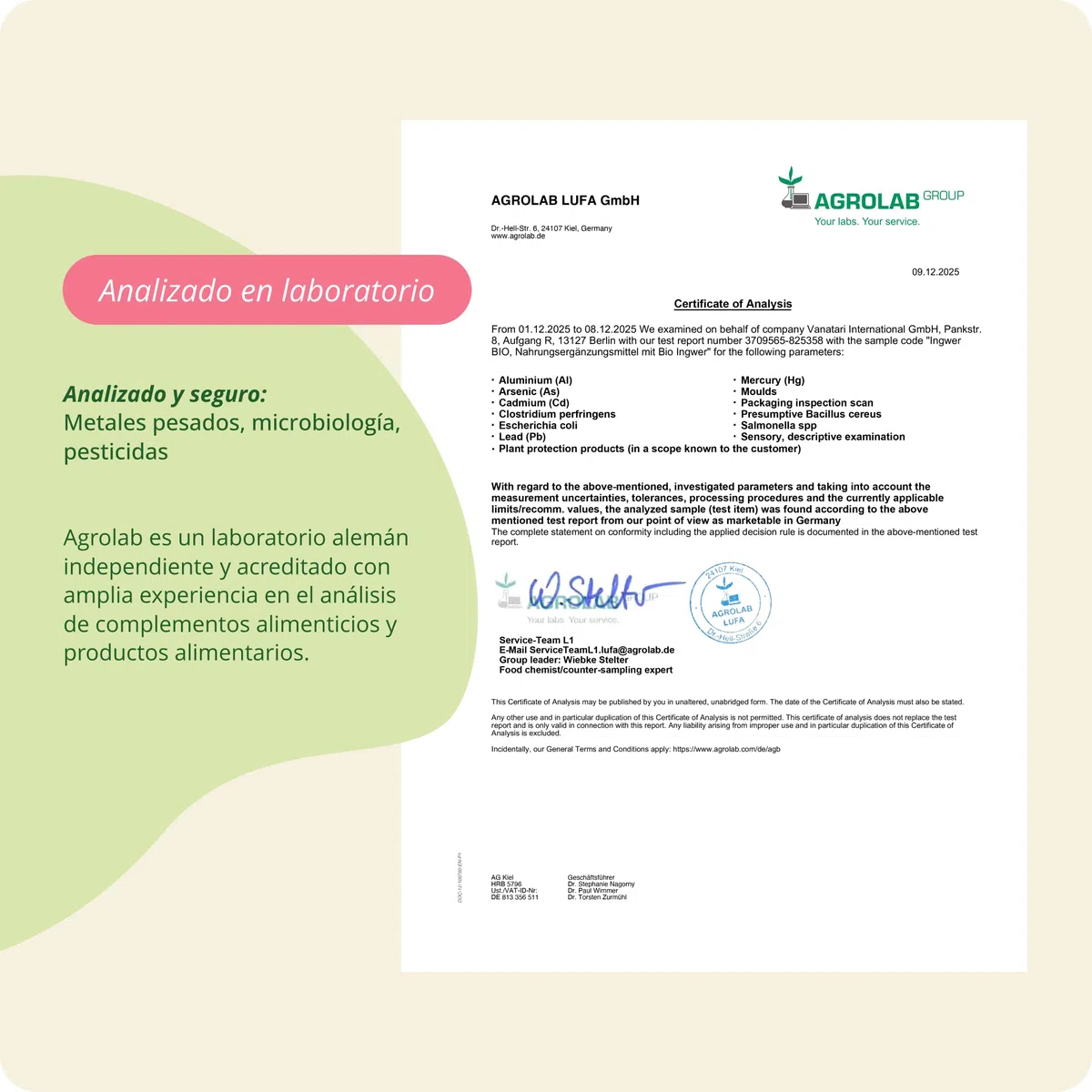 Jengibre BIO | Ginger ORGÁNICO | 120 Cápsulas | 650 mg por Cápsula | Náusea + Digestión + Dolor Menstrual | Sin Aditivos | Vegavero