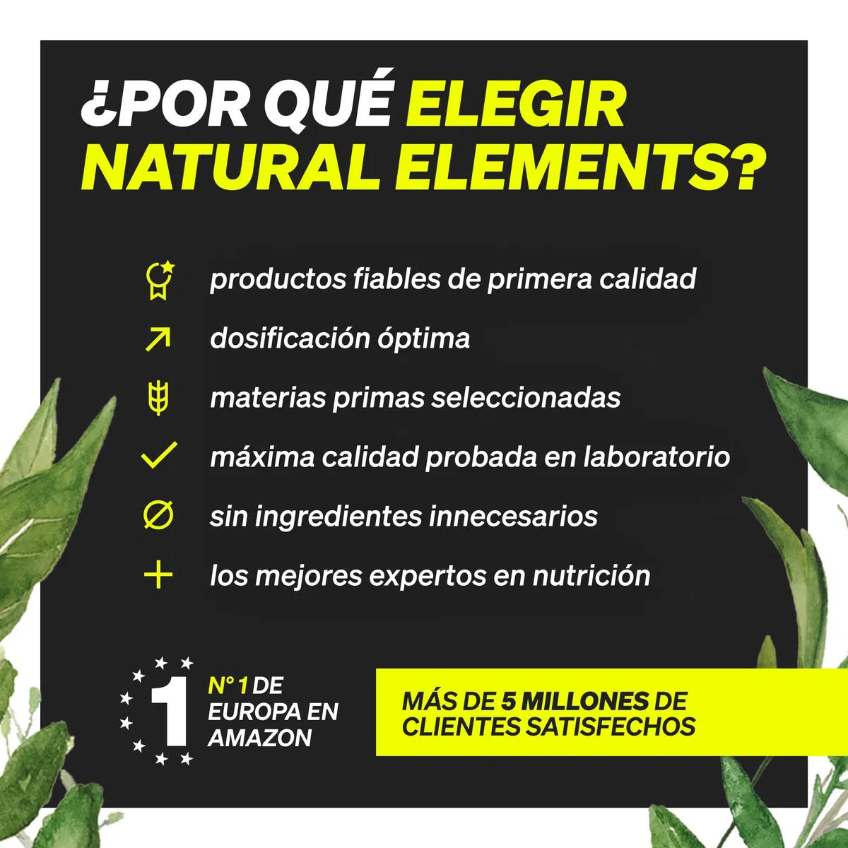 Citrato de Magnesio - 365 Cápsulas en alta dosificación - 2320mg, de los cuales 360mg son de magnesio elemental al día - Para Músculos, Huesos y Sistema Inmunitario - Probado en laboratorio