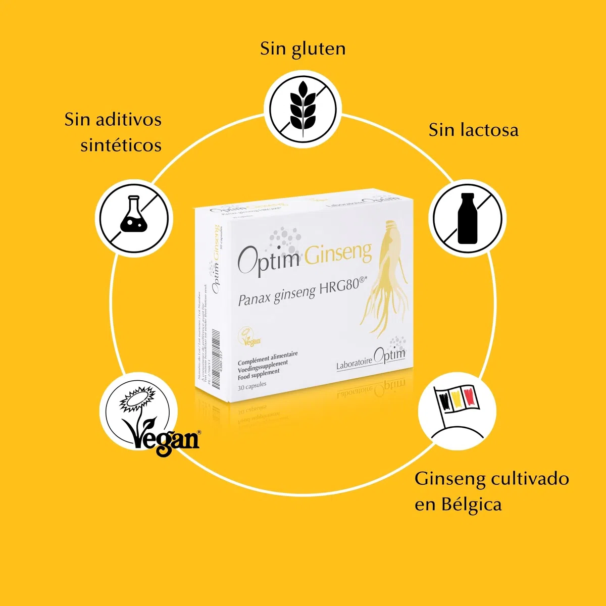 OPTIM Ginseng Potenciador Natural para Hombre - Panax Ginseng Rojo Coreano Puro Cultivado en Bélgica - 30 Cápsulas - Suplemento Herbal para Libido, Erección y Vigor - 1 Mes