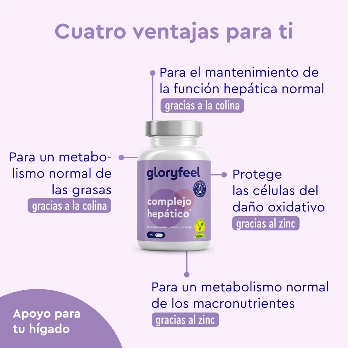 Liver Complex - Cardo Mariano 500mg (80% de Silimarina) y COLINA + Alcachofa, Cúrcuma, Espirulina, Zinc y Selenio - Complejo para el hígado* - 120 Cápsulas Veganas - Probado en laboratorio