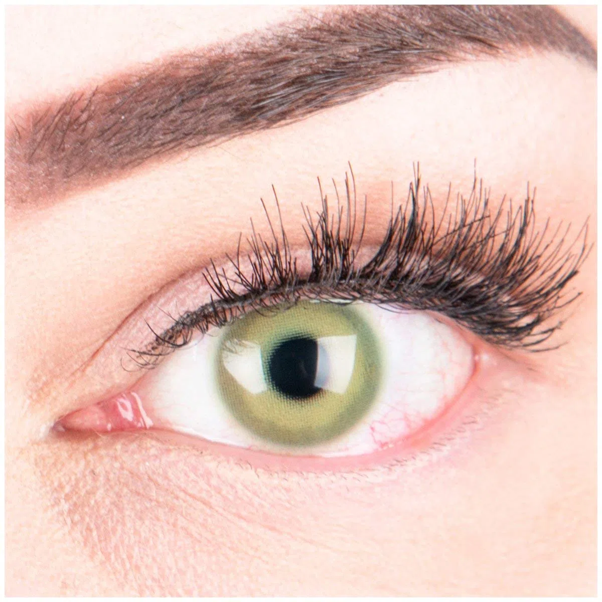 GLAMLENS lentillas de colores verdes Alice Green + contenedor. 1 par (2 piezas) - 90 Días - Sin Graduación - 0.00 dioptrías - blandos - Lentes de contacto verde de hidrogel de silicona