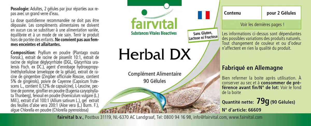 fairvital Cáscara de psyllium, extracto de raíz de diente de león y más, 90 cápsulas, con clorela