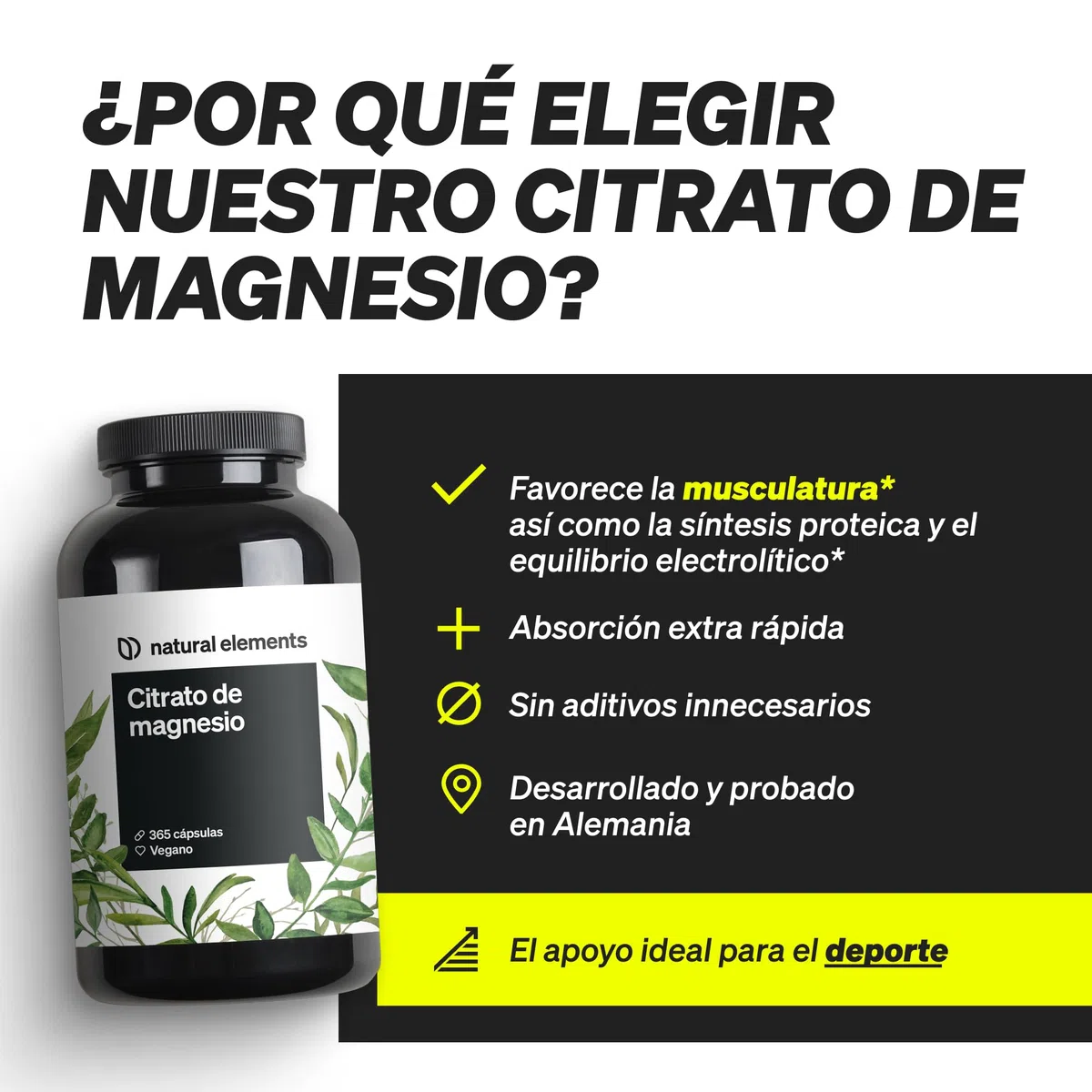 Citrato de Magnesio - 365 Cápsulas en alta dosificación - 2320mg, de los cuales 360mg son de magnesio elemental al día - Para Músculos, Huesos y Sistema Inmunitario - Probado en laboratorio