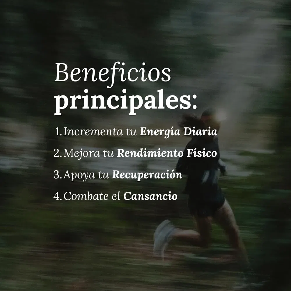 Maca Andina Líbido y Energía Diaria 90 Capsulas para 3 Meses | Formula 6 en 1 con Zinc + Vitaminas C y B12 para Rendimiento Físico de Alta Absorción 9.000 mg
