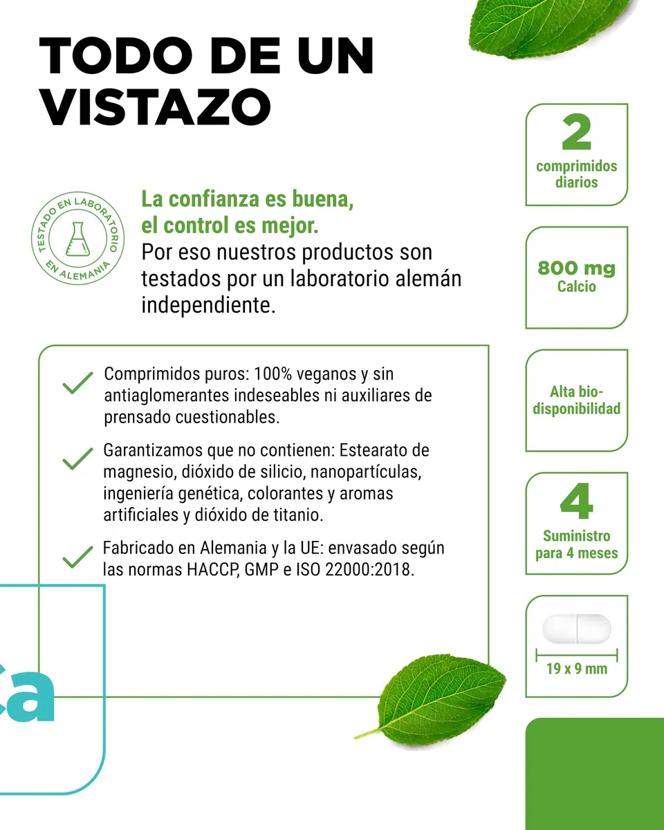 Calcio - 240 comprimidos - 800 mg de calcio procedente de carbonato cálcico por porción diaria - Para 4 meses - Vegano, de alta dosis y sin aditivos indeseables