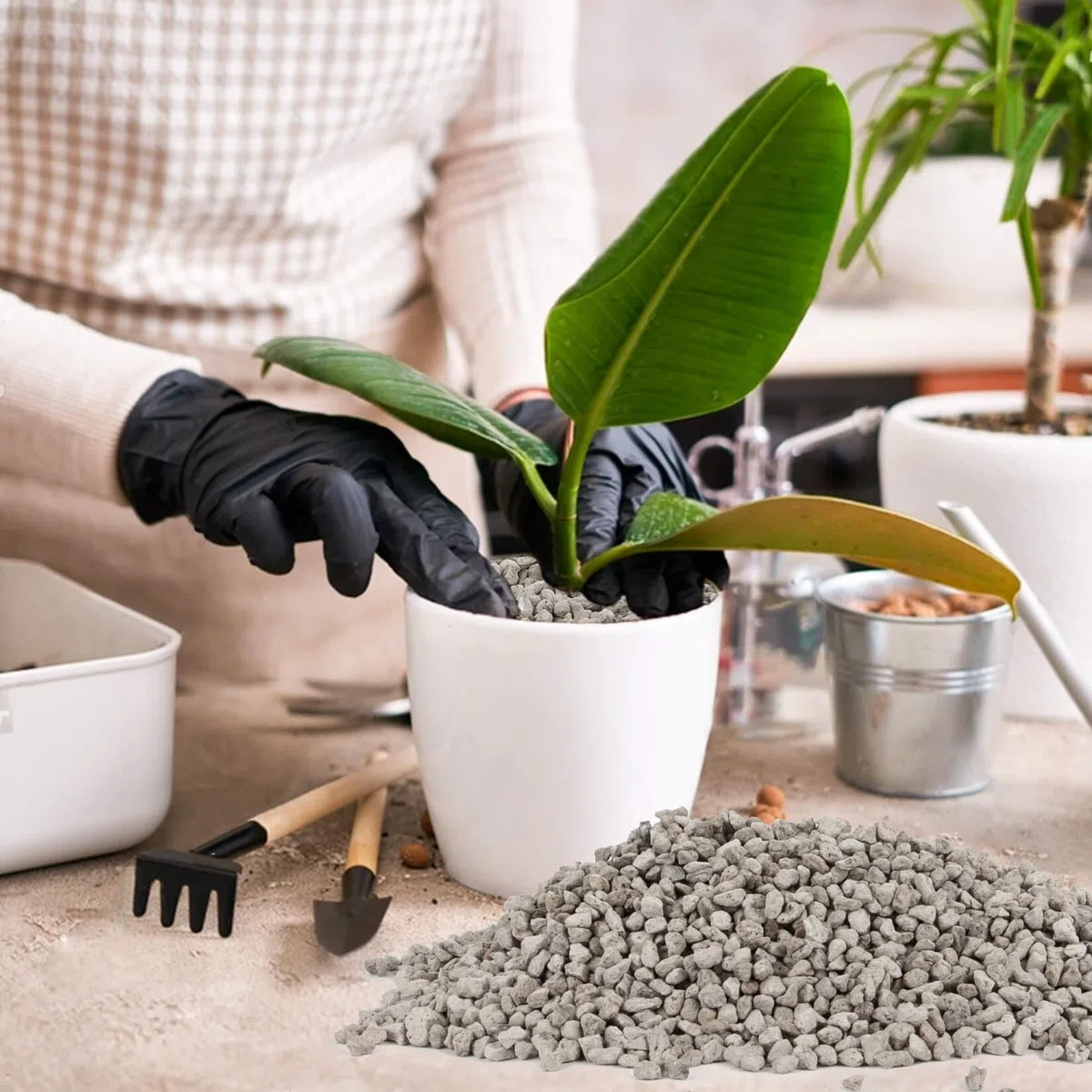 Sukh Piedra pómez gris – Piedra pómez para plantas, suculentas, cactus, bonsái, orquídeas, acondicionador del suelo, 410 g