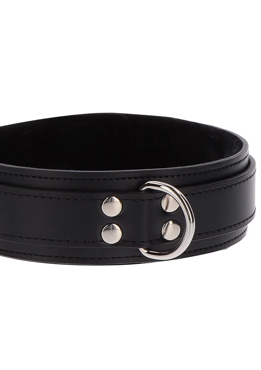 Taboom Collar Sex-17103 Collares Sexuales Negro Talla Única