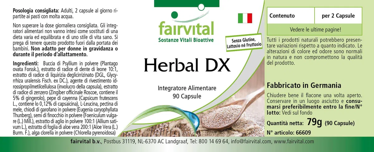 fairvital Cáscara de psyllium, extracto de raíz de diente de león y más, 90 cápsulas, con clorela