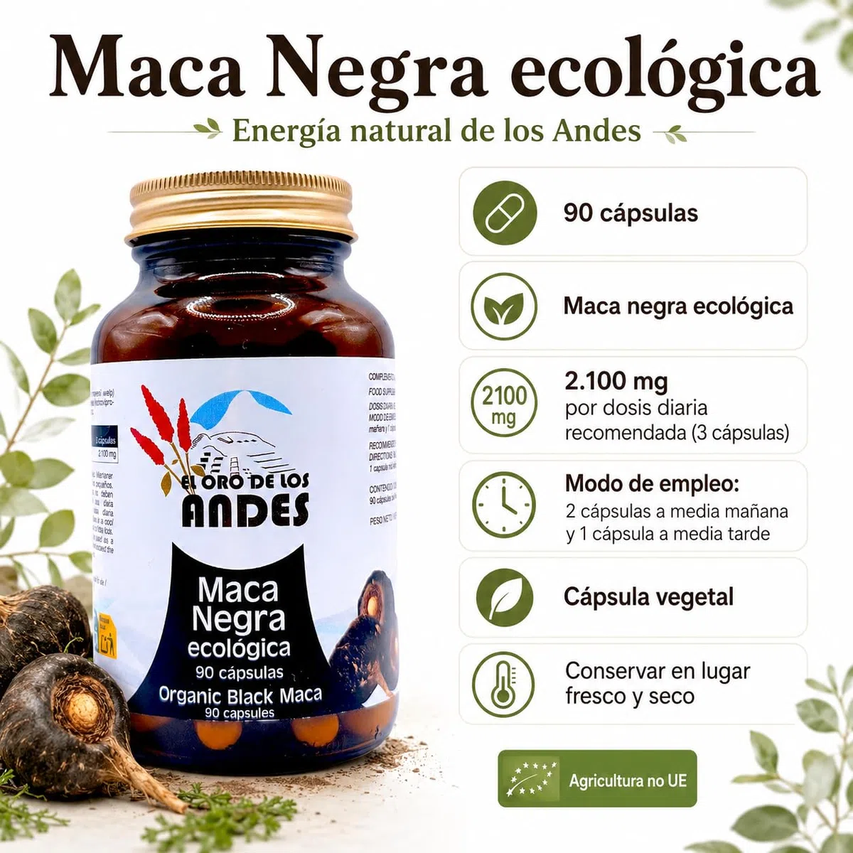 El Oro de los Andes Maca Negra Ecológica 90 Cápsulas - Superalimento Vigorizante para Energía, Rendimiento Físico y Mental - Aumenta la Resistencia y la Libido - Raíz Pura Andina Vegana