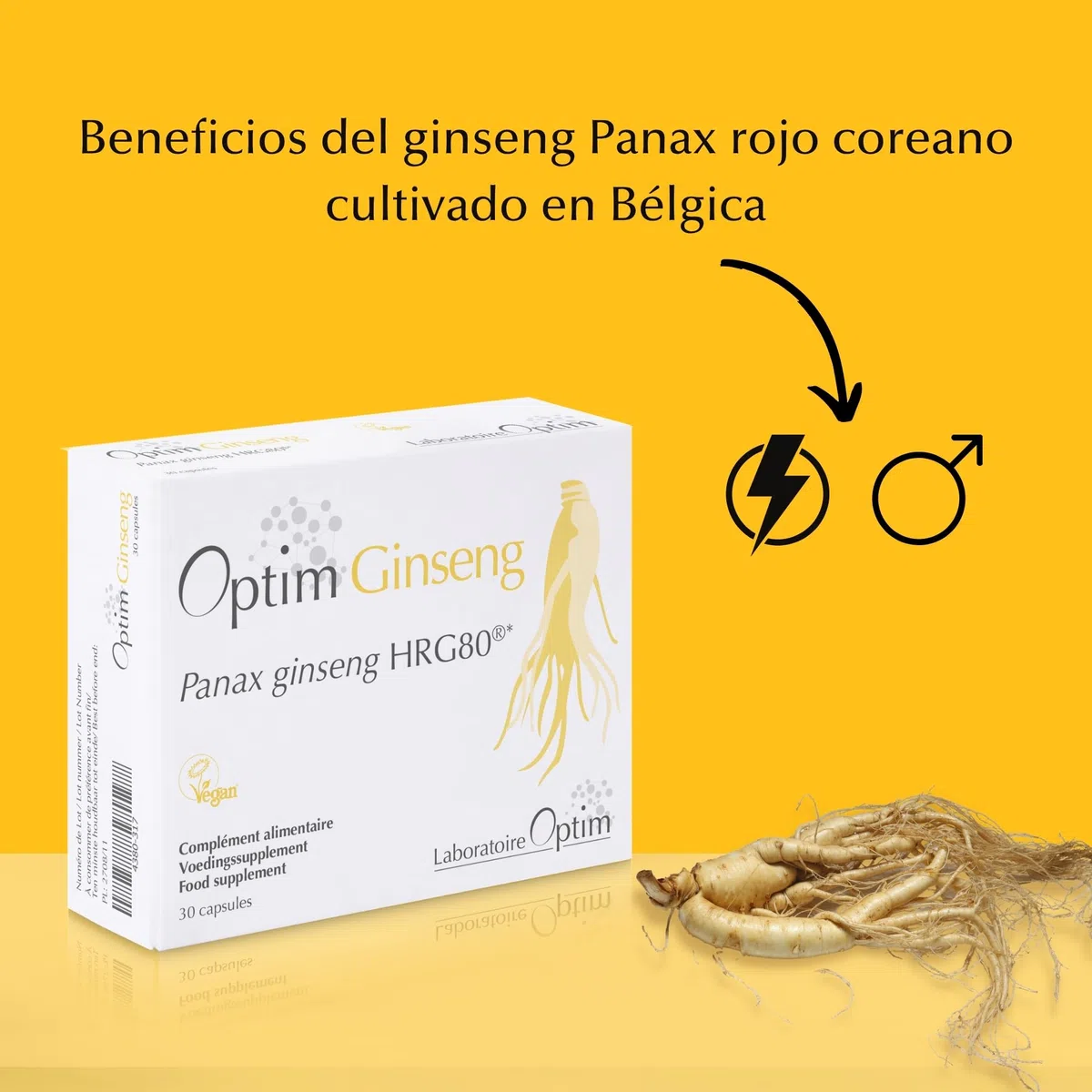 OPTIM Ginseng Potenciador Natural para Hombre - Panax Ginseng Rojo Coreano Puro Cultivado en Bélgica - 30 Cápsulas - Suplemento Herbal para Libido, Erección y Vigor - 1 Mes