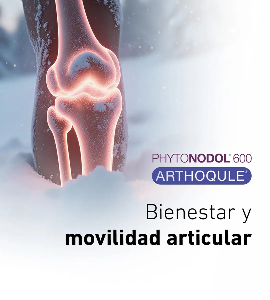 AlchemLife - Phytonodol 600 Arthoqule | Apoyo al Bienestar Articular y Movilidad | 14 Sobres con PEA 600 mg, Boswellia, Centella, Vitamina C y Manganeso | Tecnología de Alta Absorción