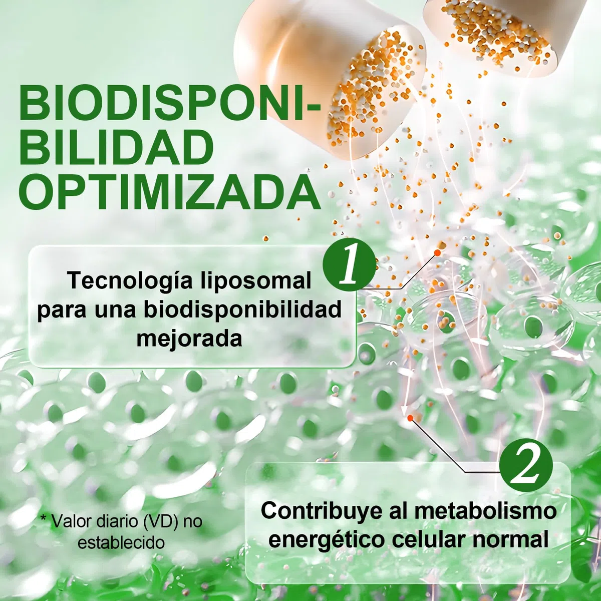 Nicotinamida Ribósido con Resveratrol y Quercetina 240 Cápsulas – Complemento Alimenticio