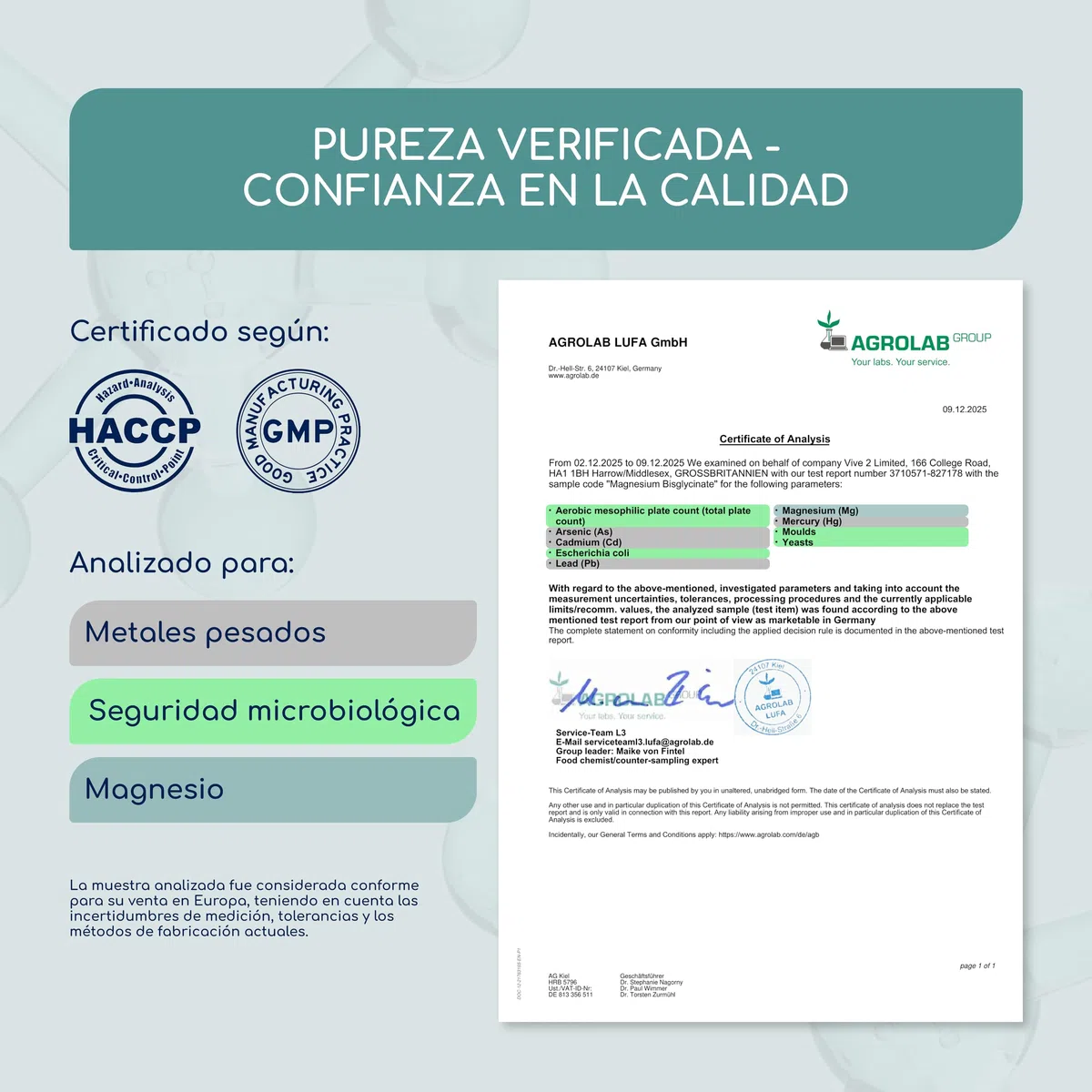 Bisglicinato de Magnesio - 450 mg de magnesio (magnesium) elemental/dosis diaria - 240 Cápsulas, hasta 4 meses de suministro - inocuo para el estómago, vegano y de alta dosificación