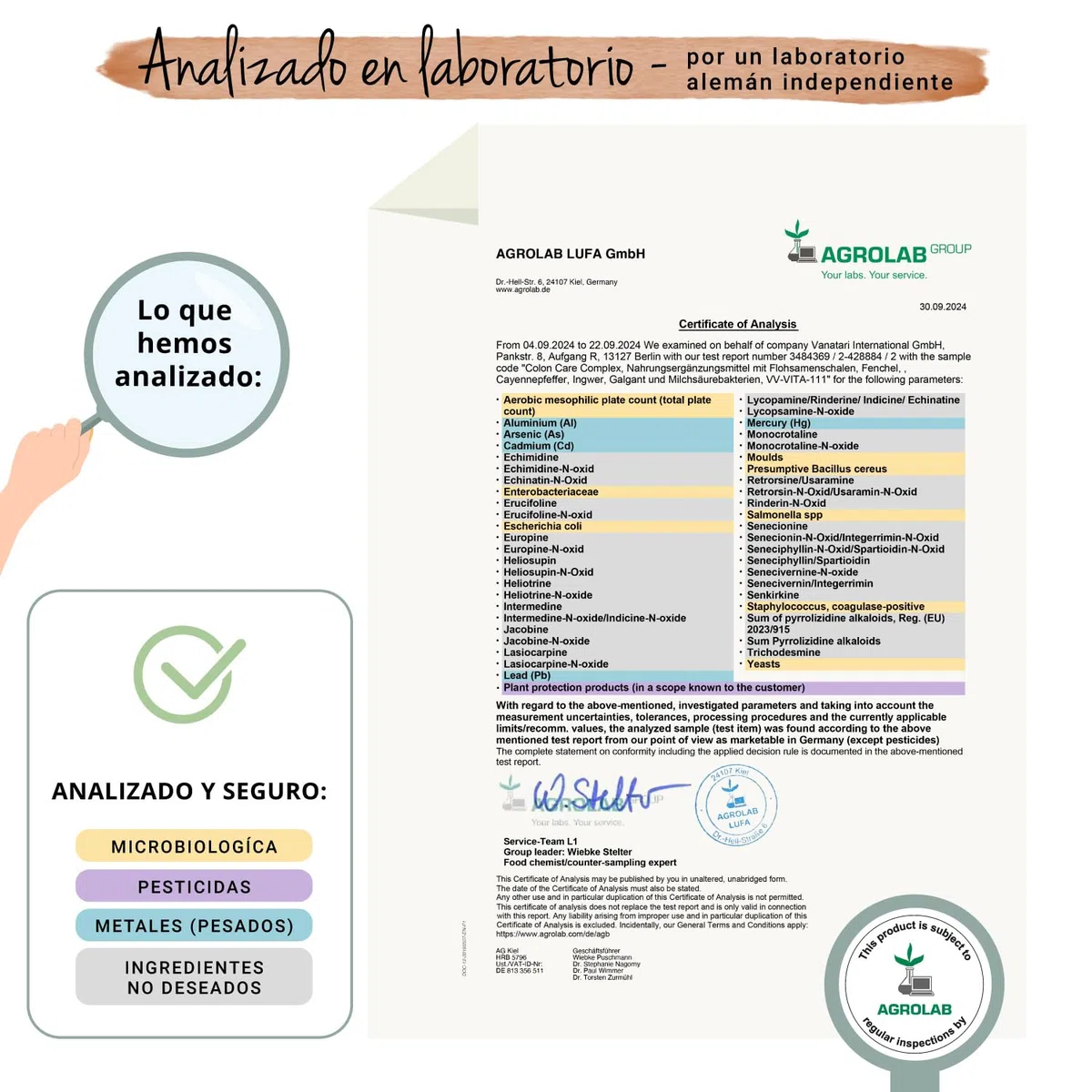 Vegavero Colon Irritable Complex | Psyllium Husk y Probioticos | Estreñimiento + Gases + Transito Intestinal | Flora & Cleanse | Vegan | 120 Cápsulas