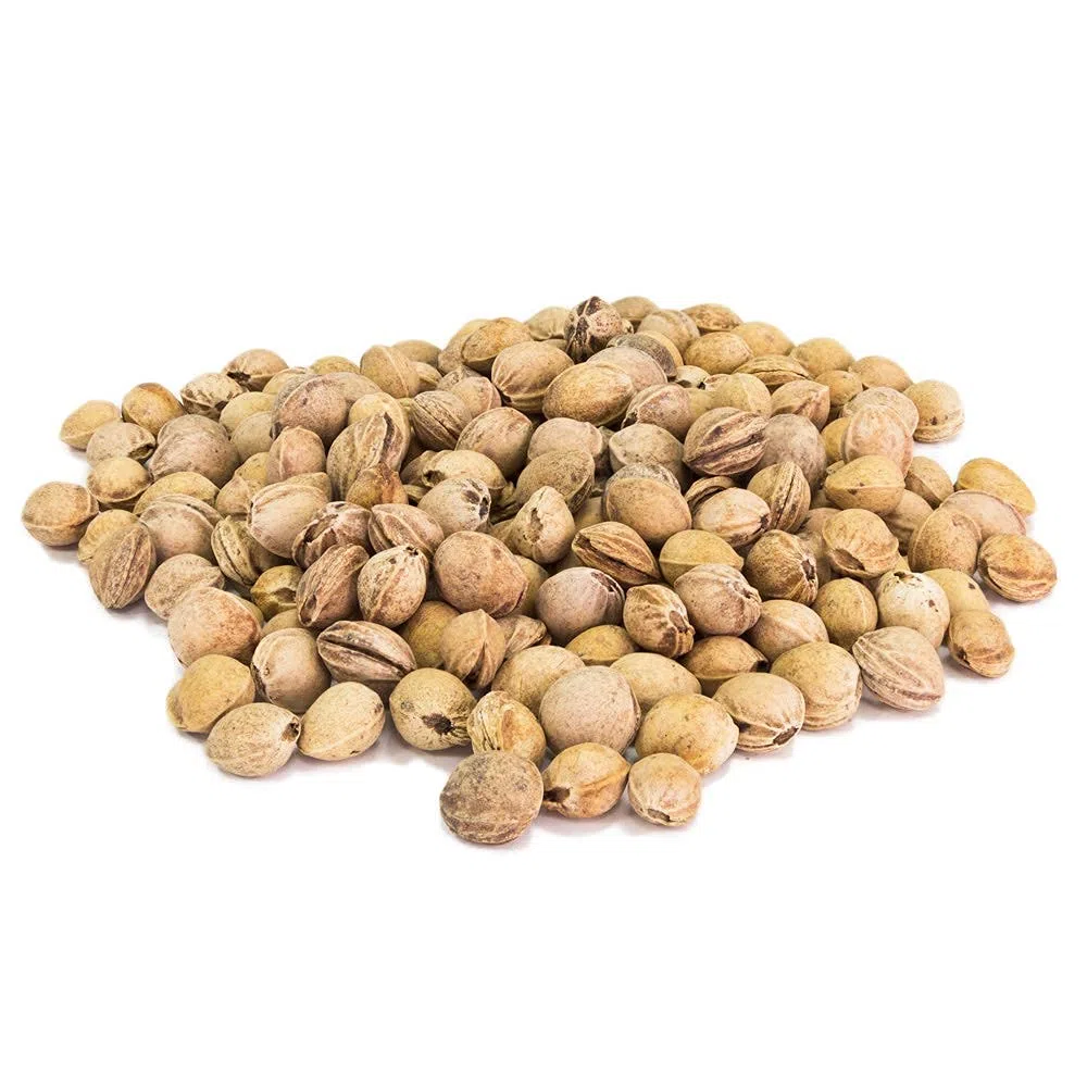 Eigenmarke - Huesos de cereza para relleno de cojín (5 kg)