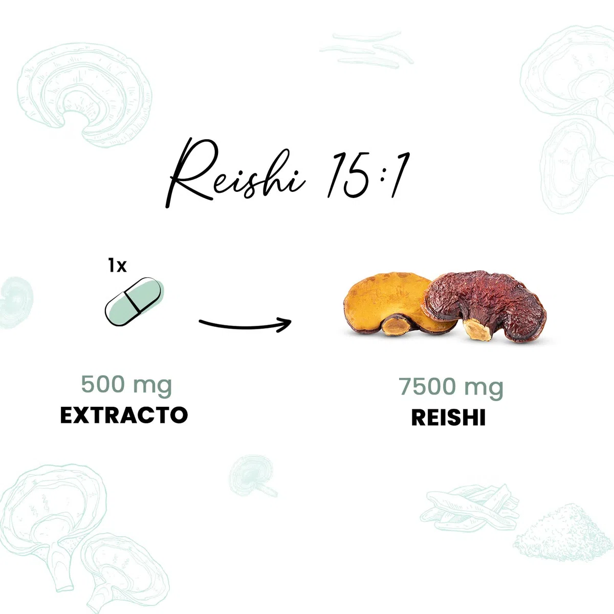 Reishi Puro 15000 MG - Ganoderma lucidum - de HSN | 120 Cápsulas Vegetales con 30% Polisacáridos, 20% Betaglucano, 2% Triterpenos | 15x Veces Más Concentrado | No-GMO, Vegano, Sin Gluten