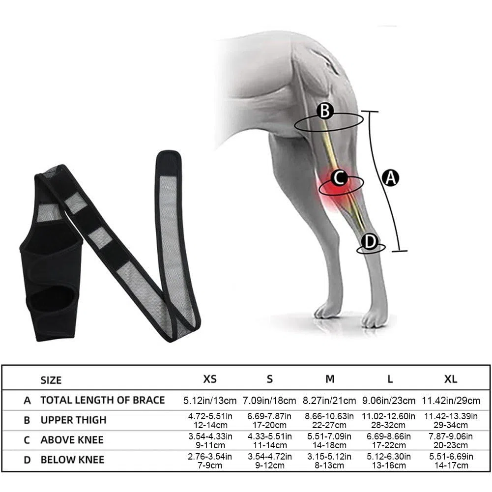 Rodillera Para Perros, Vendaje Para Rodilla, Ayuda Para Recuperación De Mascotas En Caso De Rotura Del Ligamento Cruzado Anterior (lca), Luxación Rotuliana, Displasia De Piernas Y Osteoartritis.