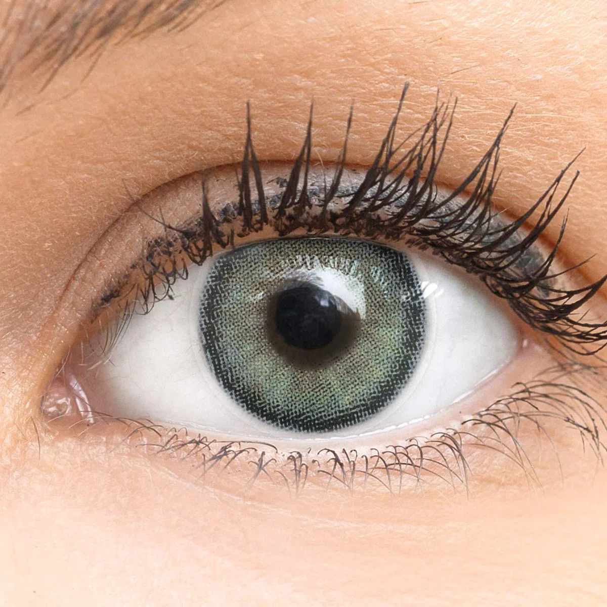 GLAMLENS lentillas de color -gris Bella Grey + contenedor. 1 par (2 piezas) - 90 Días - Sin Graduación - 0.00 dioptrías - blandos - Lentes de contacto grises de hidrogel de silicona