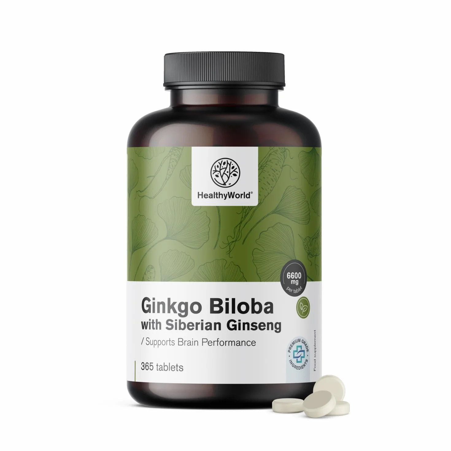 HealthyWorld Ginkgo Biloba con ginseng siberiano 6600 mg - Apoyo a la función cognitiva - 365 comprimidos para un suministro de 1 año - Extracto de Ginkgo 50:1 (120 mg) y 10:1 (60 mg)