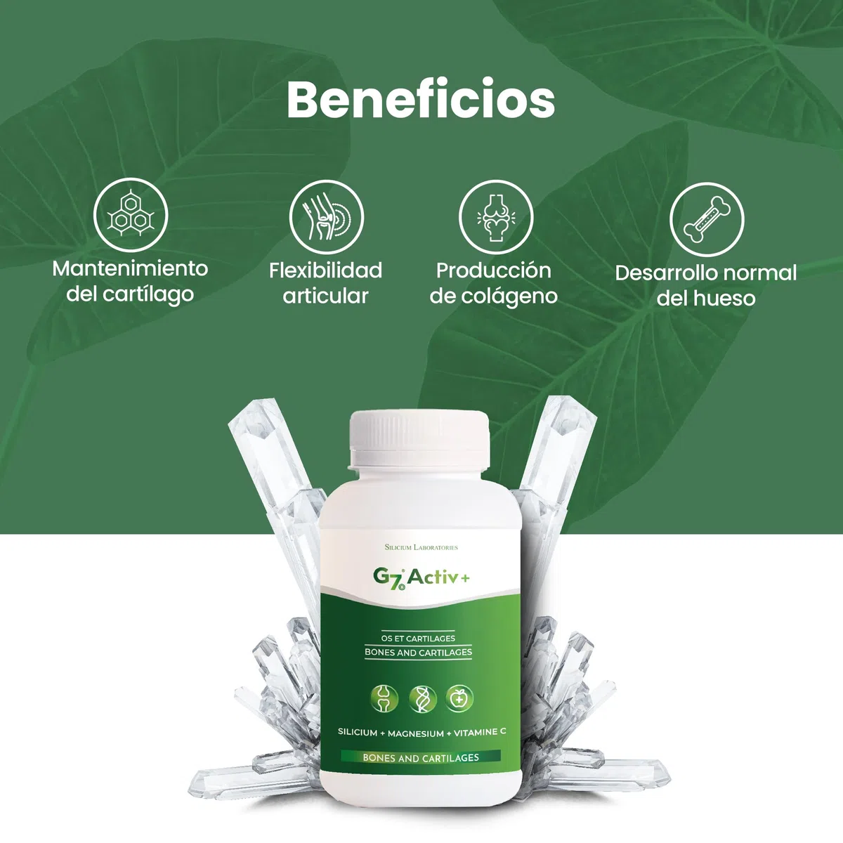 G7 Activ+. Fórmula Mejorada. Suplemento De Silicio Con Vitamina C Y Magnesio Que Mejora El Mantenimiento Normal Del Los Huesos Y Las Articulaciones. Aporte De Energía Extra Y Vitalidad. 60 Cápsulas.