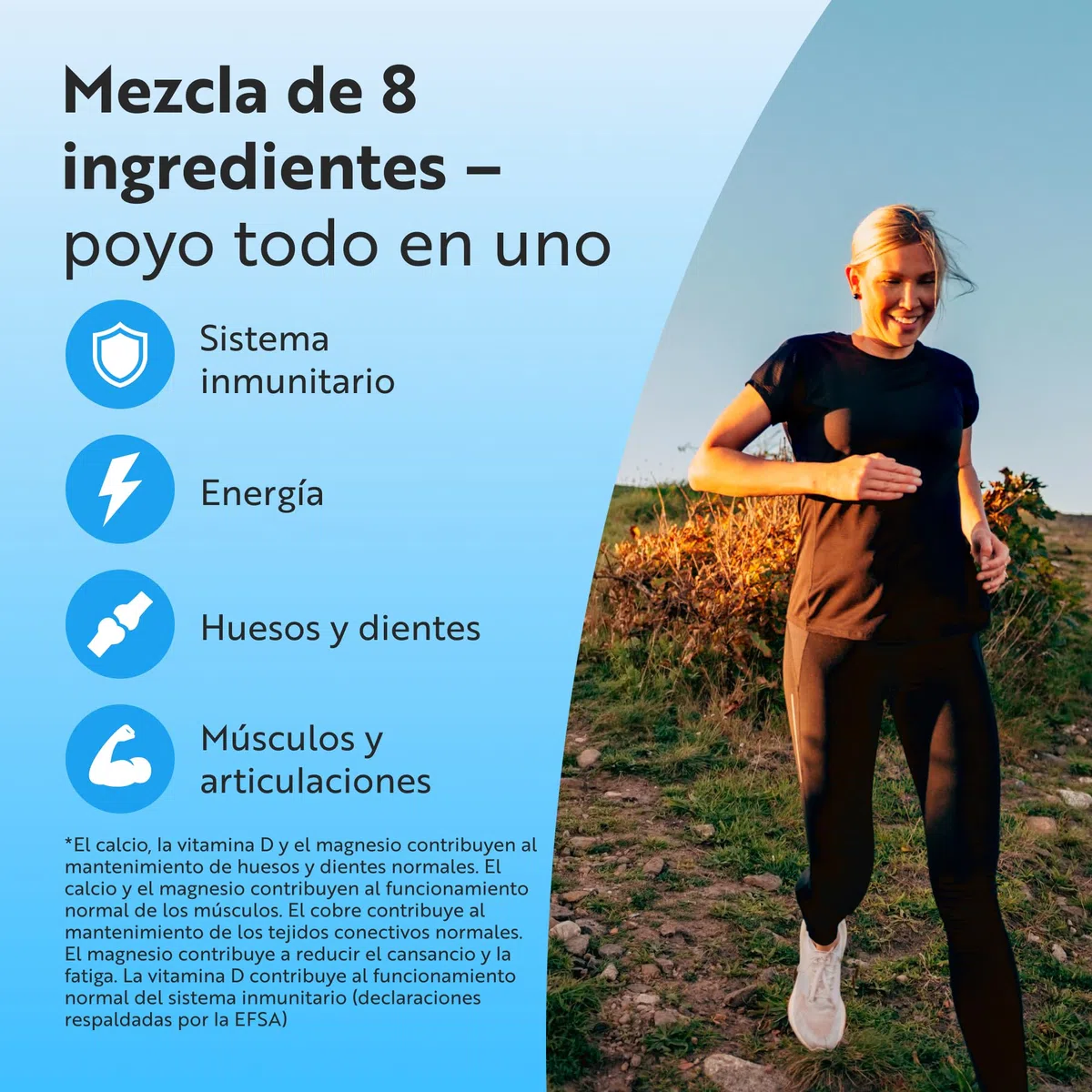 Nutravita Calcio 800mg, Magnesio 360mg, Zinc y Vit D - 365 Tabletas Vegetarianas (6 Meses) - Mantenimiento de Huesos, sistema inmunológico, función muscular normal y fatiga reducida - Hecho en Europe
