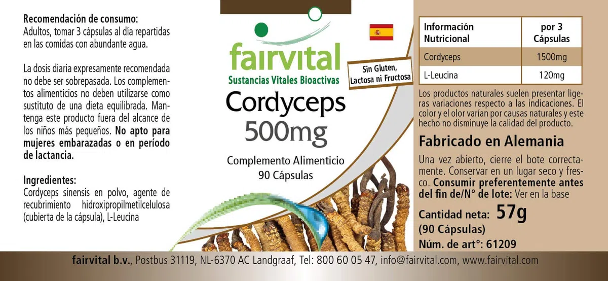 fairvital Cordyceps 500mg, 90 cápsulas, fáciles de tragar, 500mg de polvo de hongo Cordyceps por cápsula, ALTA DOSIS, Cordyceps sinensis (hongo de las orugas), VEGANO