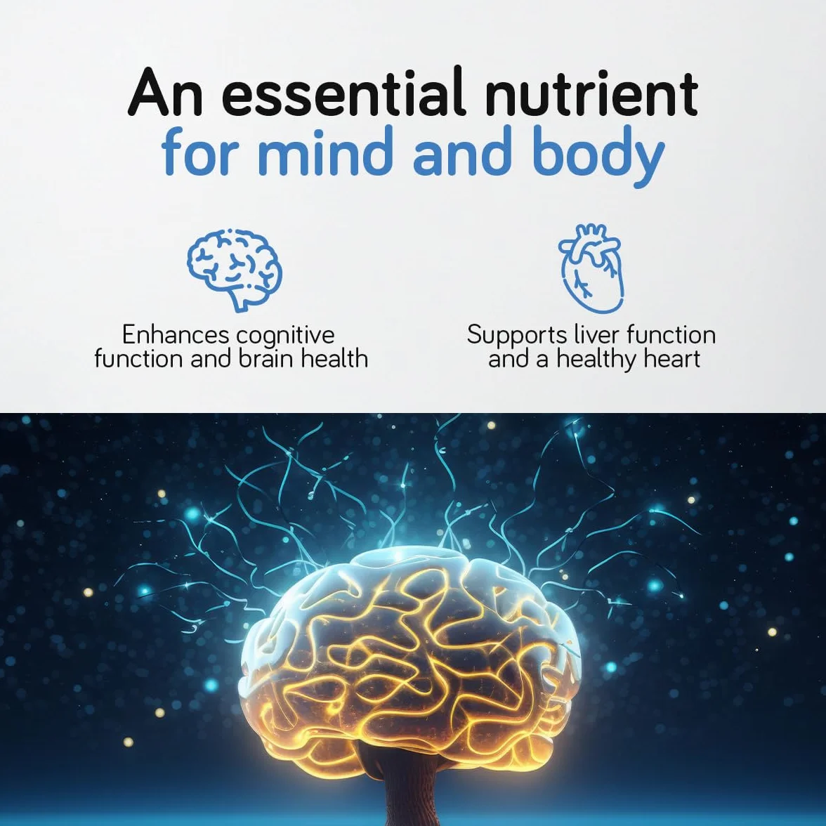 Colina alta dosis 700 mg - 150 cápsulas - para 5 meses de stock | Función hepática, metabolismo de los lípidos, memoria y función cerebral | Vegano, sin gluten | Ambervit