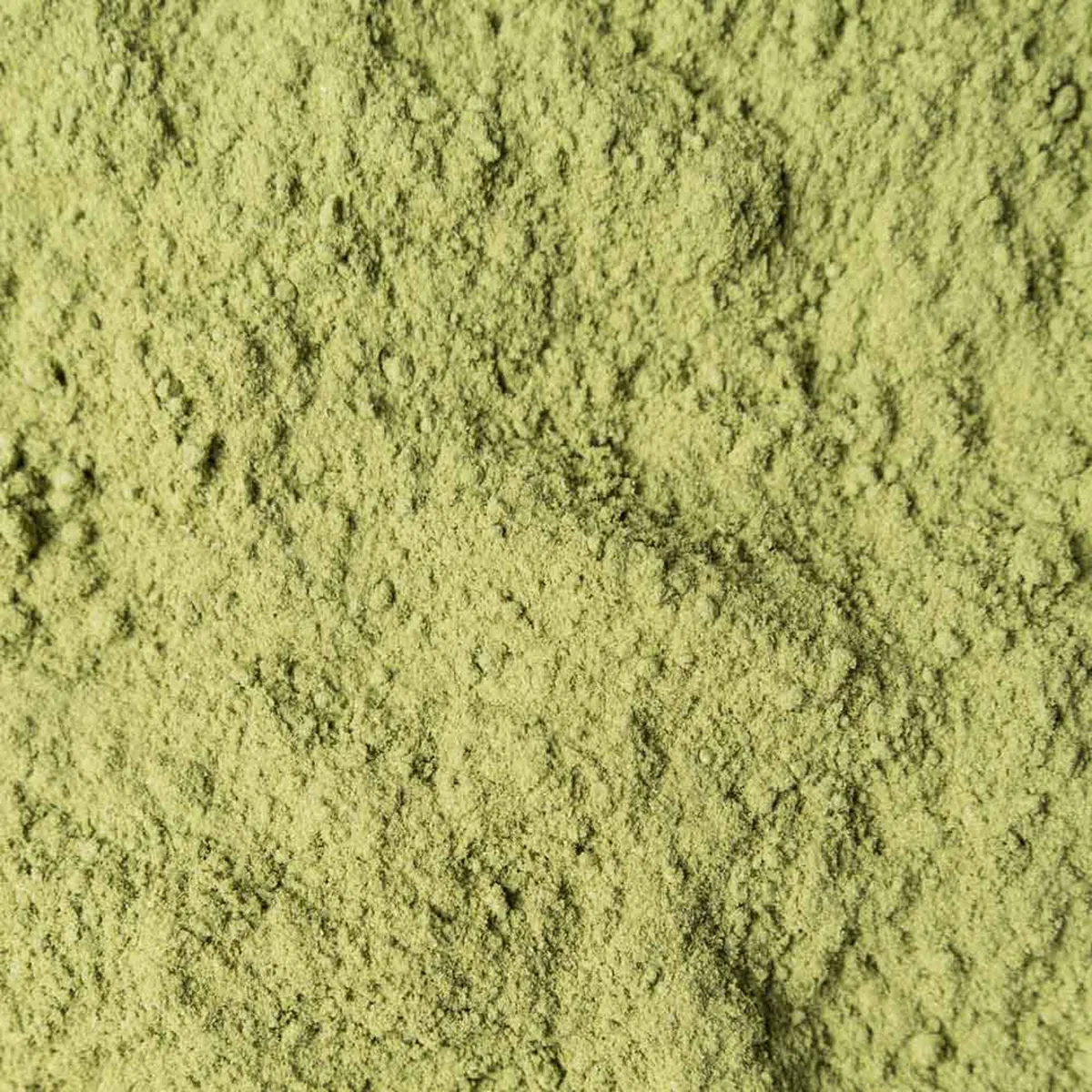 Biotiva Polvo de hierba de trigo orgánica 500 g - polvo fresco de hierba de trigo fina - llenado y verificado en Alemania (DE-ÖKO-005)