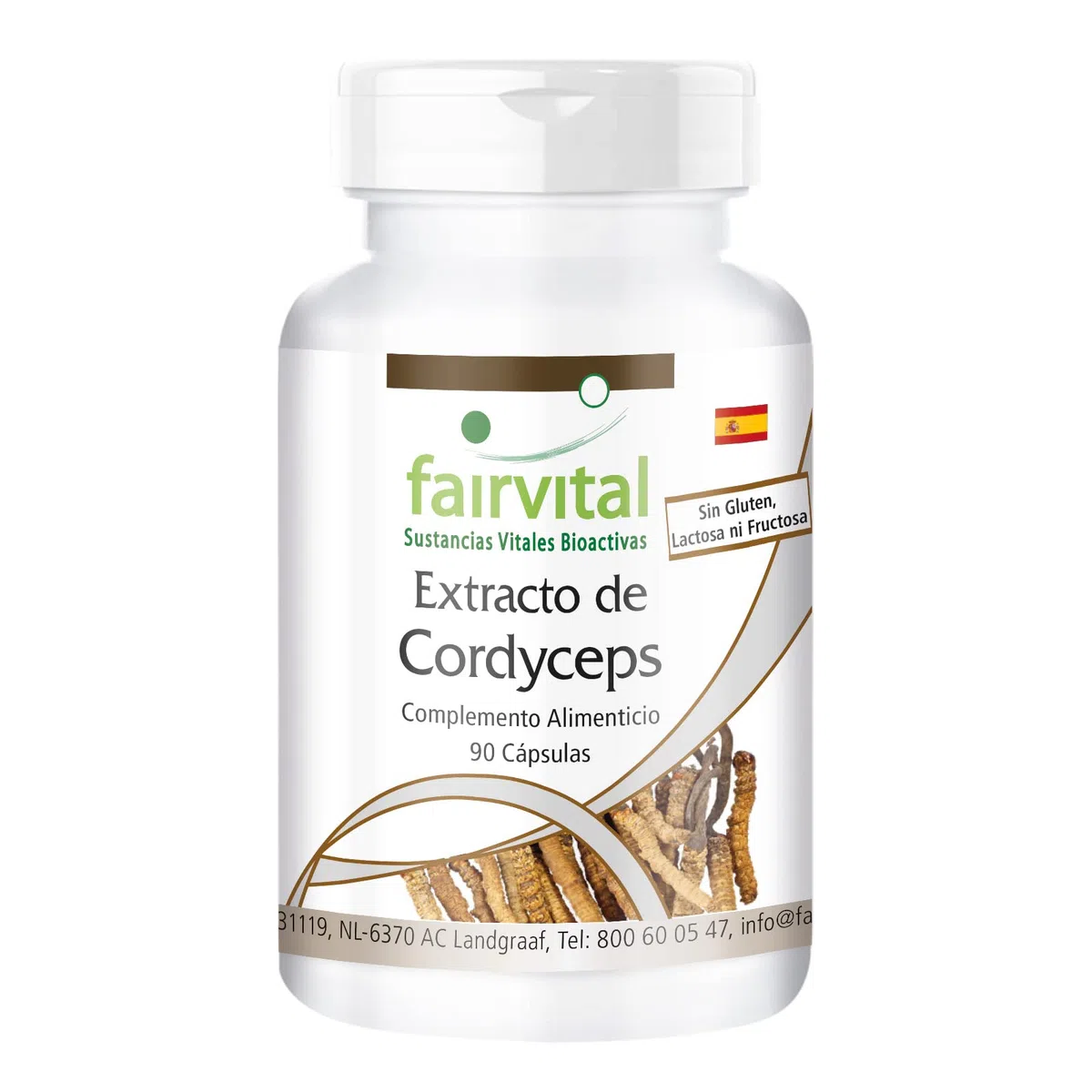 fairvital Cordyceps 500mg, 90 cápsulas, fáciles de tragar, 500mg de polvo de hongo Cordyceps por cápsula, ALTA DOSIS, Cordyceps sinensis (hongo de las orugas), VEGANO