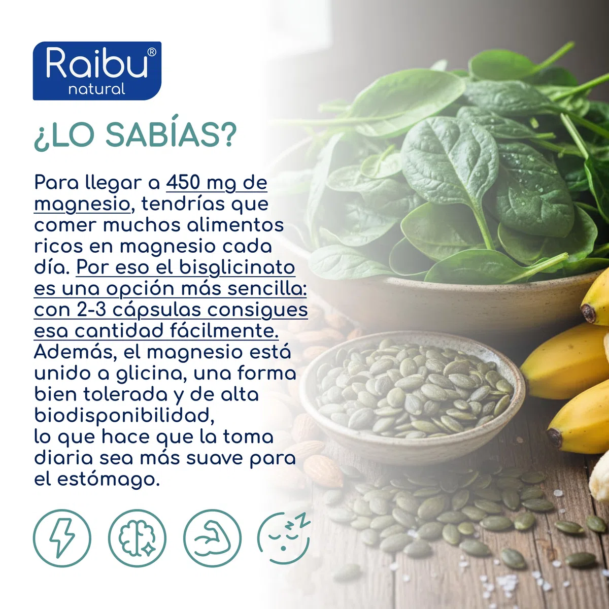 Bisglicinato de Magnesio - 450 mg de magnesio (magnesium) elemental/dosis diaria - 240 Cápsulas, hasta 4 meses de suministro - inocuo para el estómago, vegano y de alta dosificación