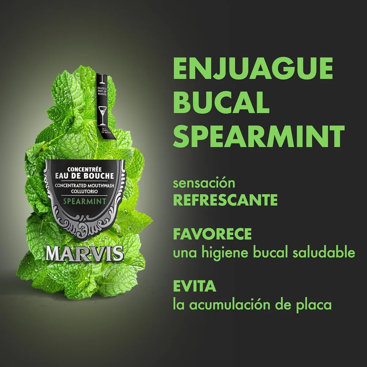 Marvis Enjuague bucal concentrado menta verde, 120 ml, colutorio sin alcohol para un aliento fresco, reduce la acumulación de placa y cuida las encías