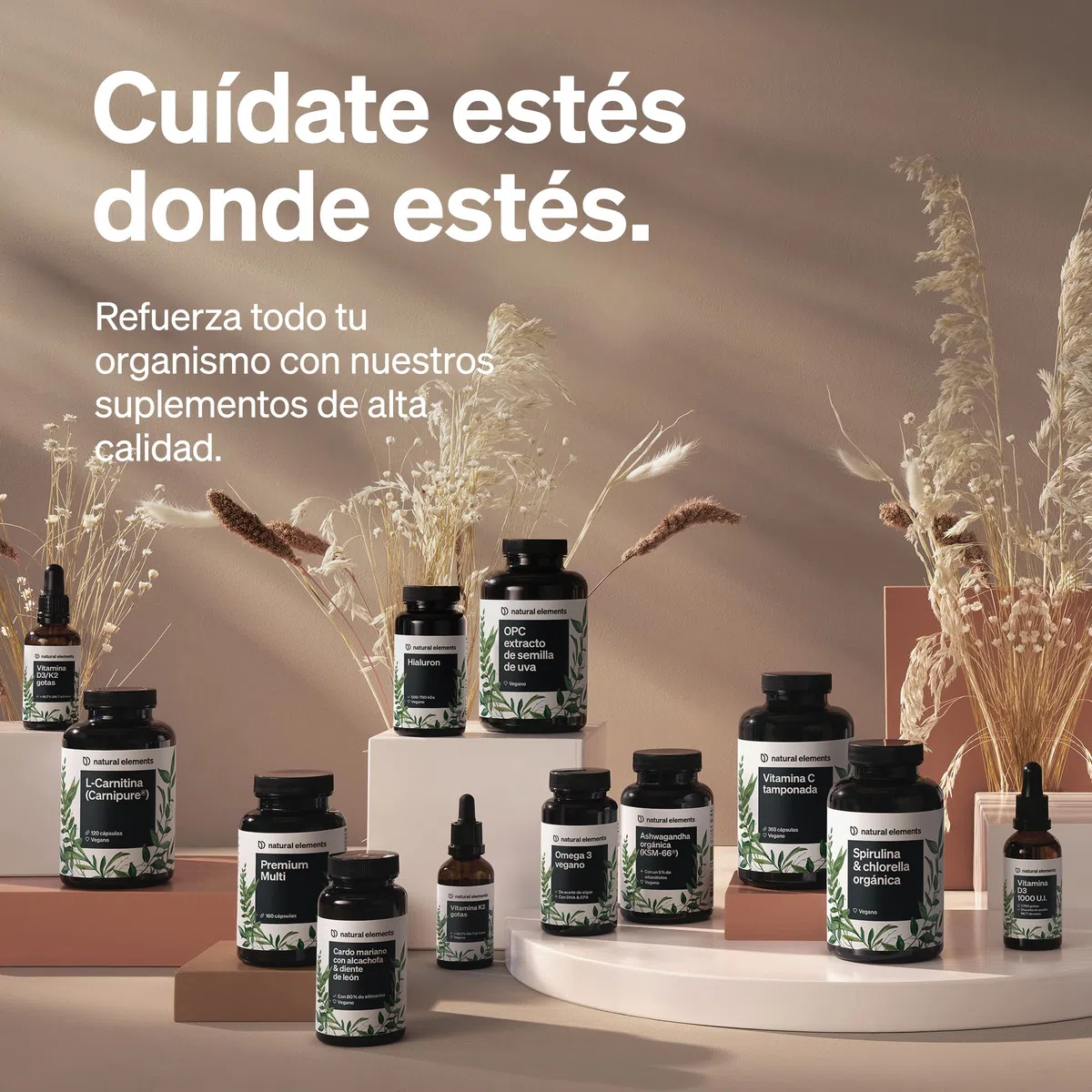 Maca negra ecológica 3000mg (equivalente a 12.000 mg de raíz de maca) - 180 Cápsulas con Vitamina C - Fórmula ideal para la energía y la resistencia física - Certificado ecológico y vegano