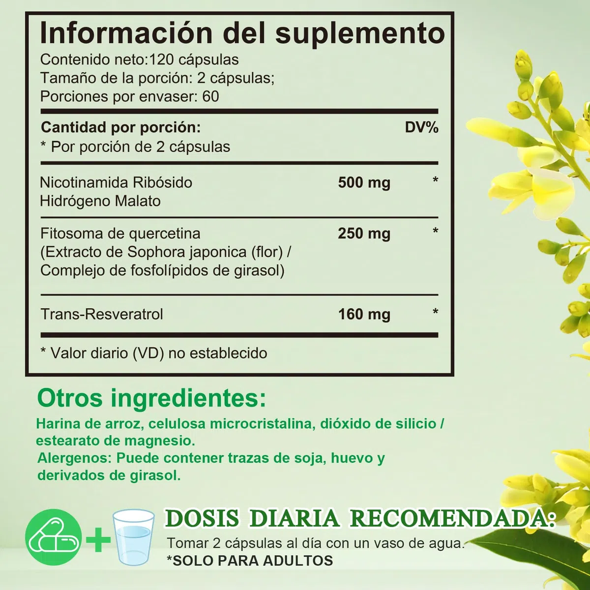 Nicotinamida Ribósido con Resveratrol y Quercetina 240 Cápsulas – Complemento Alimenticio